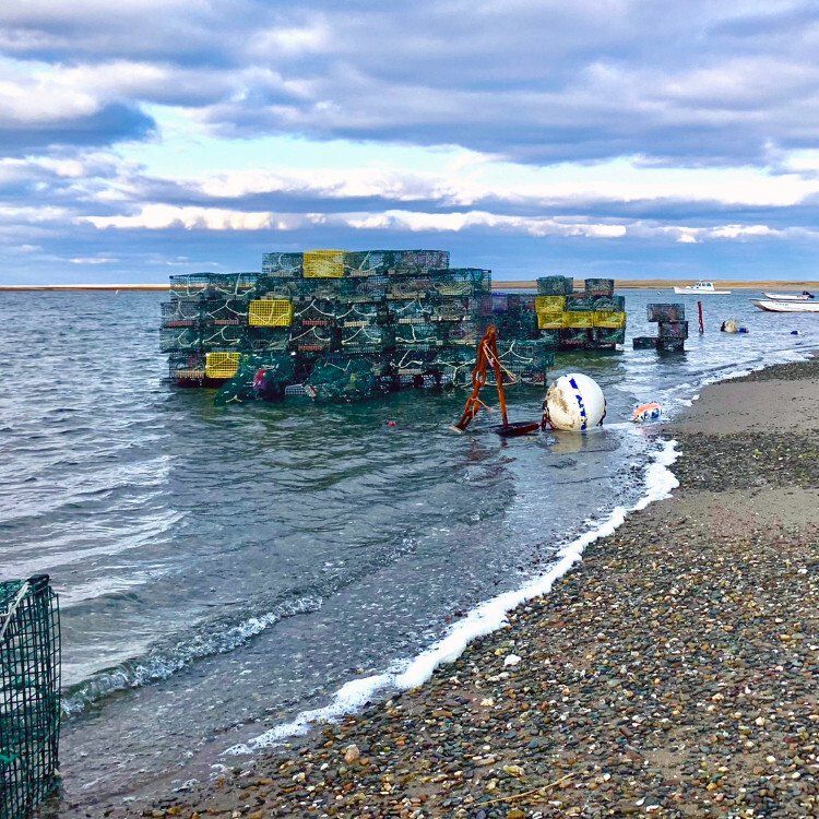 Wendy Fair_Pot Luck.jpg