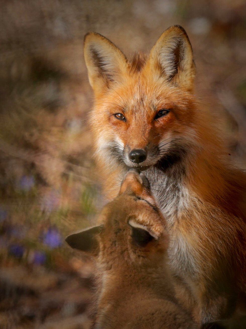 2021 POPULAR FAVORITE_Anne Seminara_Love you, Mom.jpg