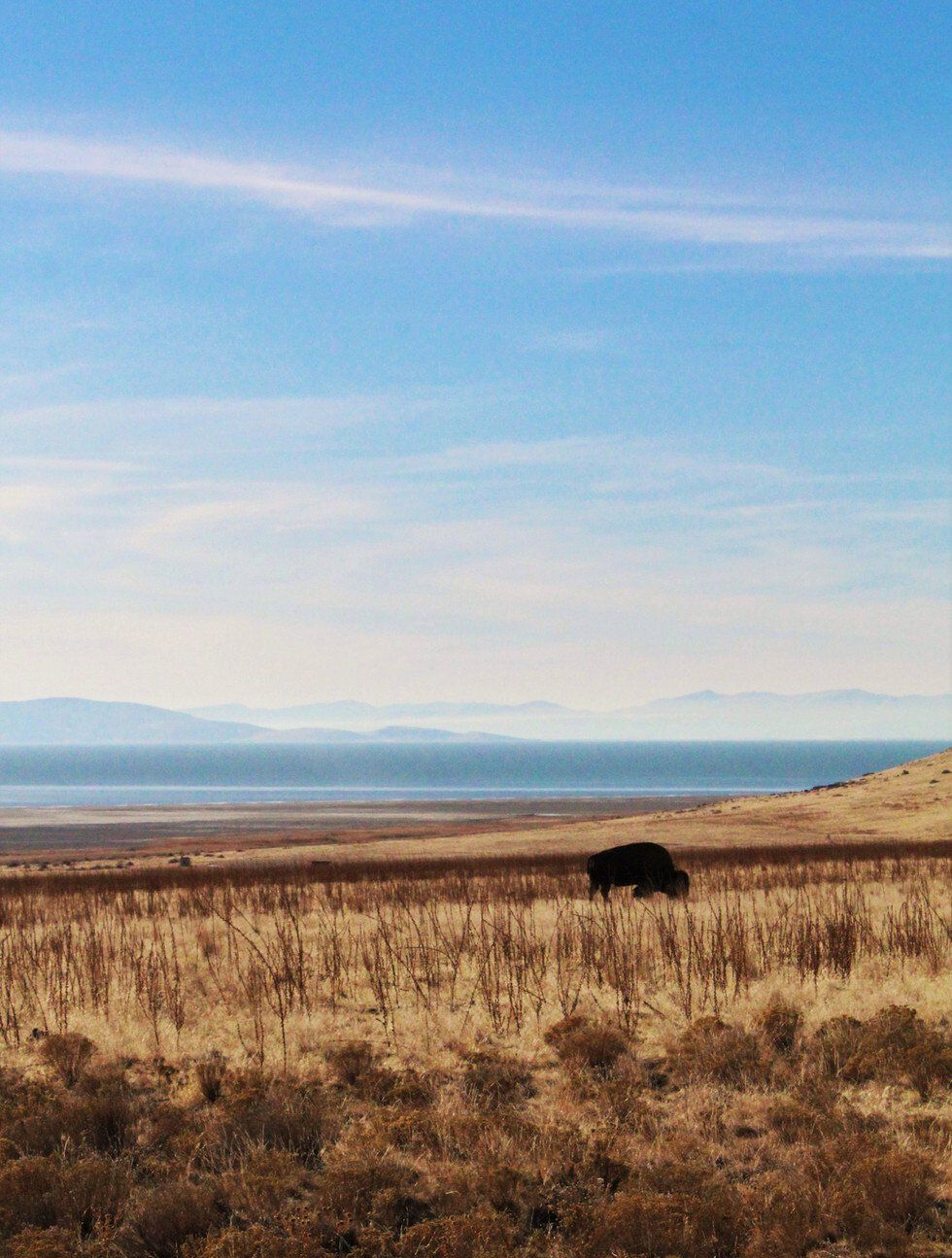 Alone on Antelope Island