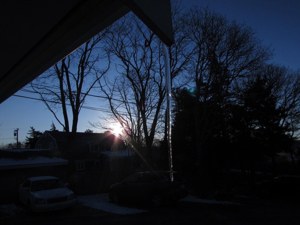 Ina OReilly_Seeing Eye to Eye.jpg