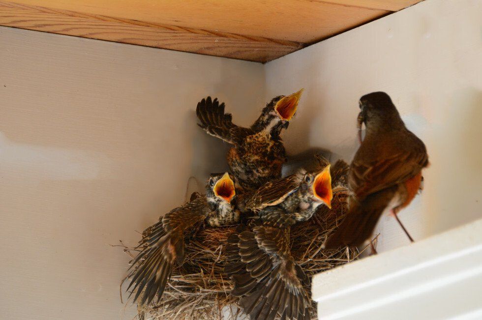 A Mothers True Devotion