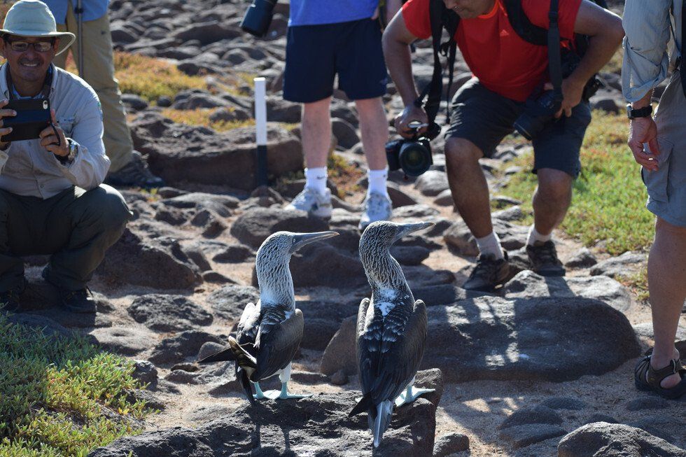 Galapagos Press Conference
