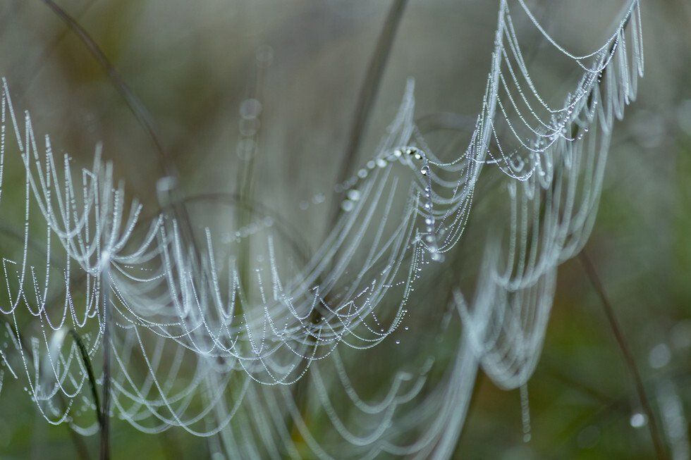 Water Drops 10-7-2021-50.jpg