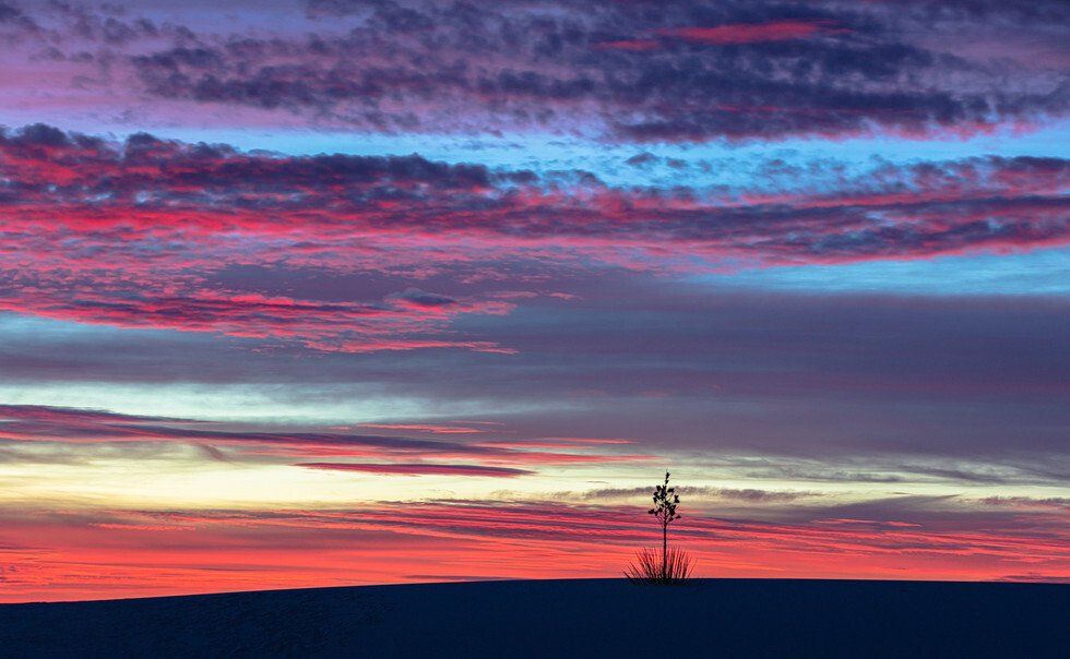 Ken Johnson_Dawn at White Sands.jpg