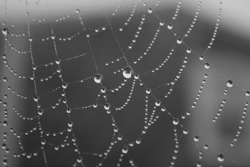 Water Drops October 2020 (7 of 21).jpg