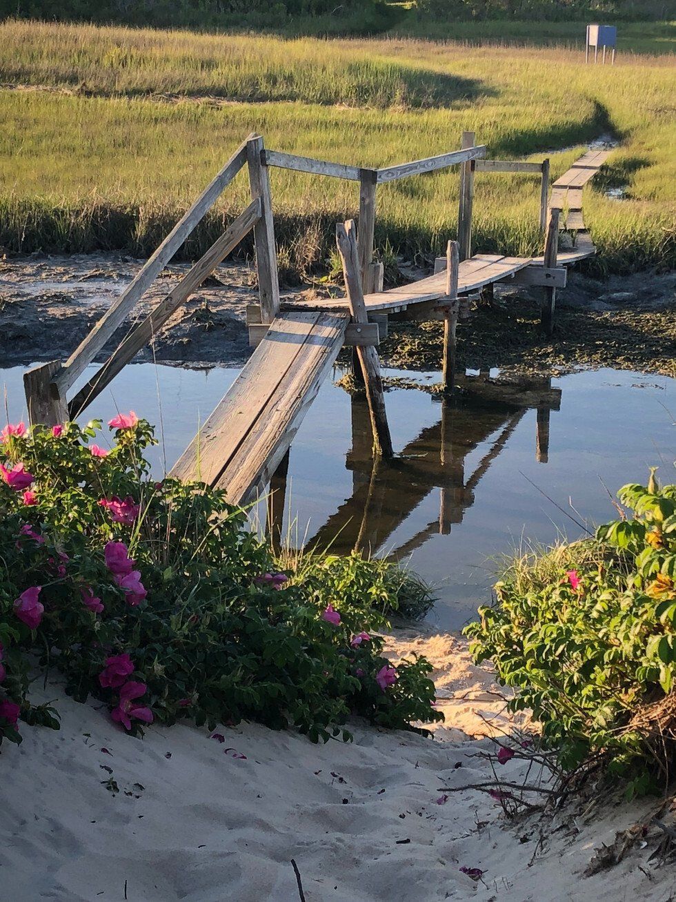 Bridge Over Muddy Water