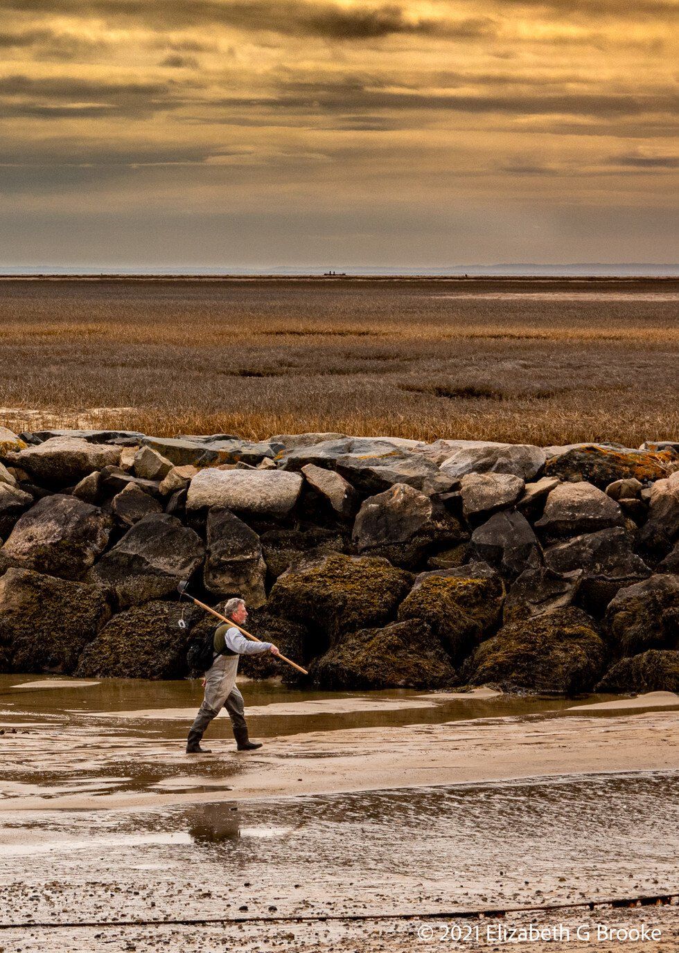 Shellfisherman on the flats