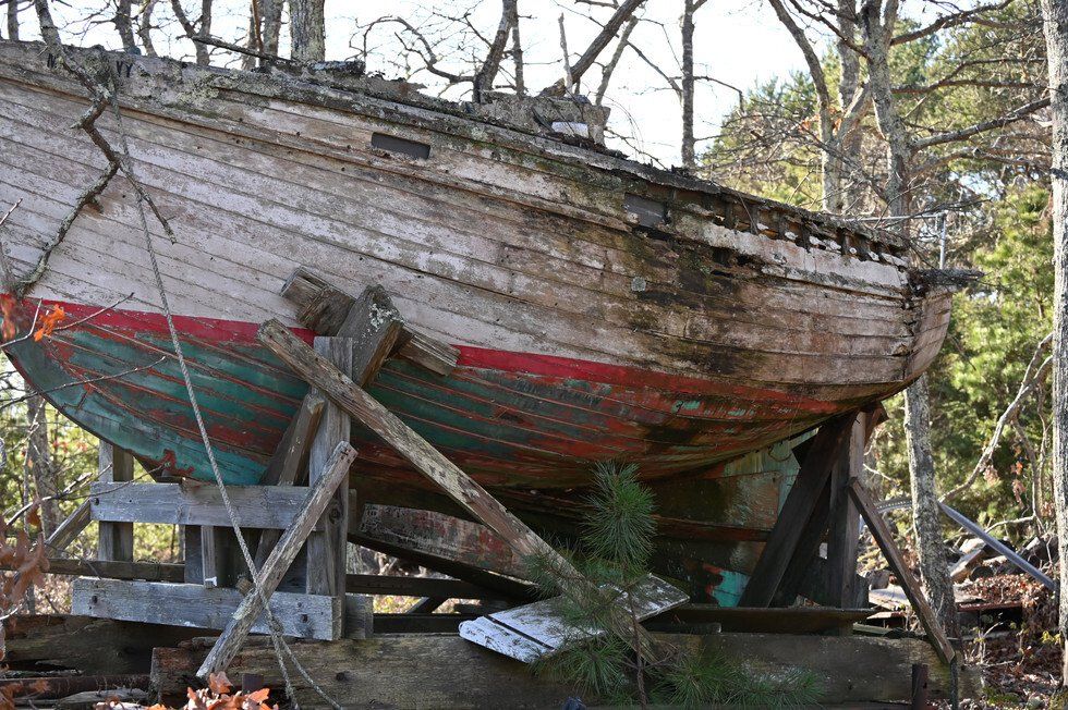 Howard Stein_SS Minnow.jpg