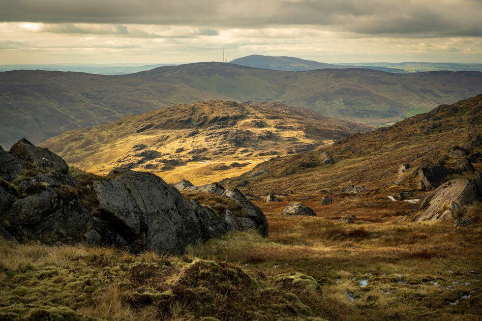 View from Slieve Foy