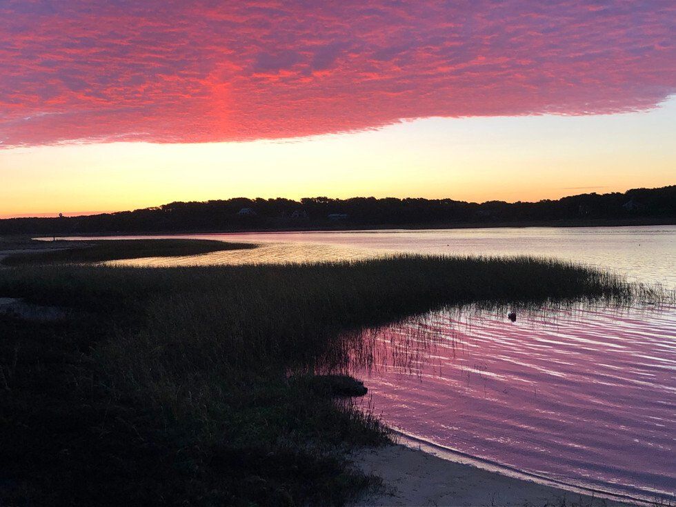 Nan Midgley_Morning Walk.jpg