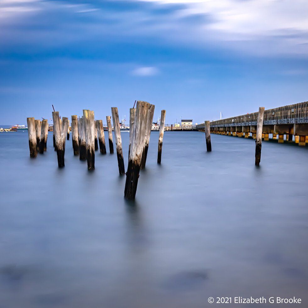 Pilings by Coast Guard Pier