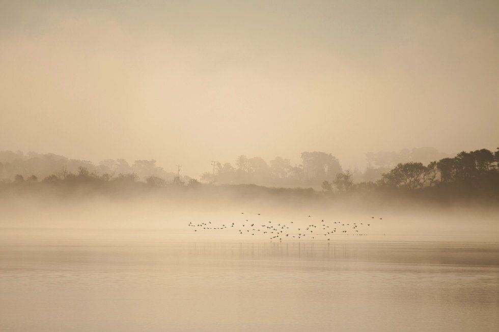 Golden Morning on Pleasant Bay