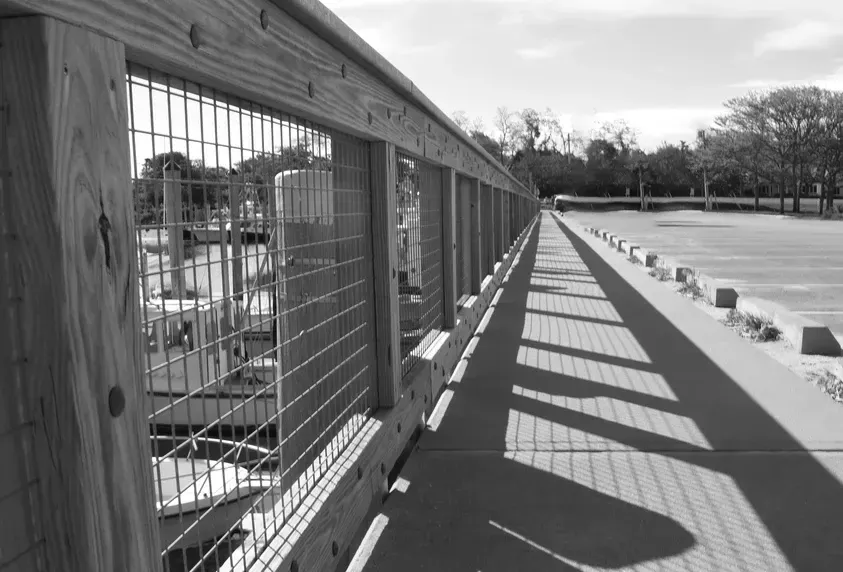 Shane Riley Heart of the Ocean.jpg