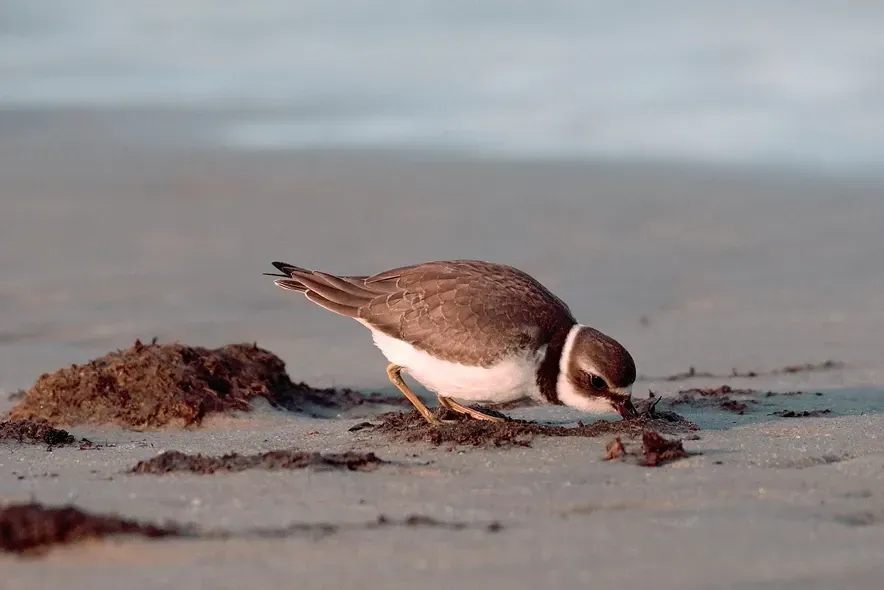 Kevin Bulwidas_Found Lunch_Patience.jpg