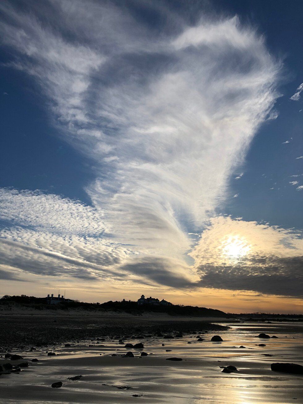 Penelope Pearson_Love Walk.jpg