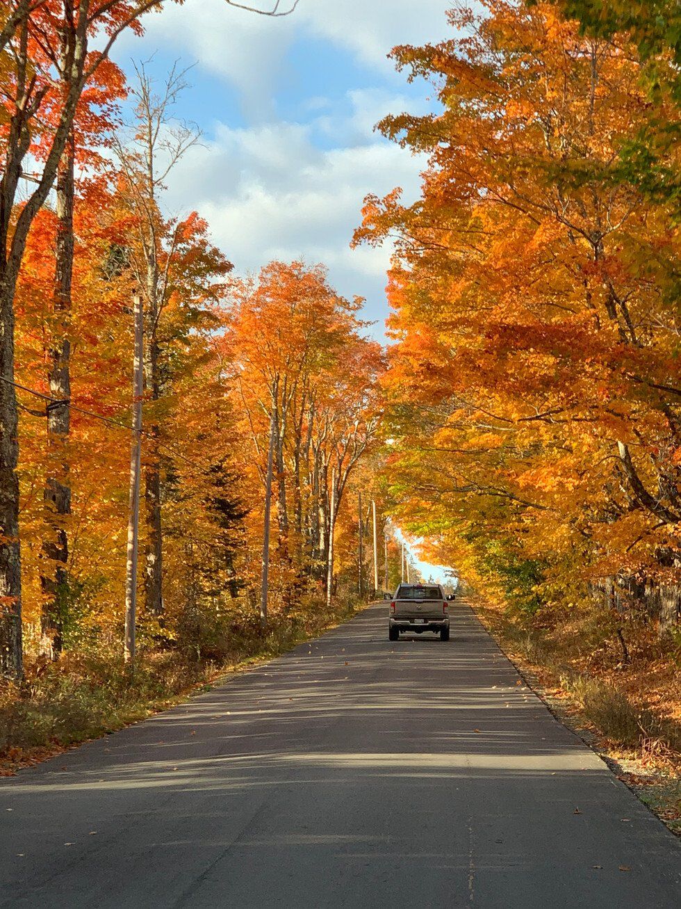 Katrina Boucher_Free_Zac Brown Band.jpeg