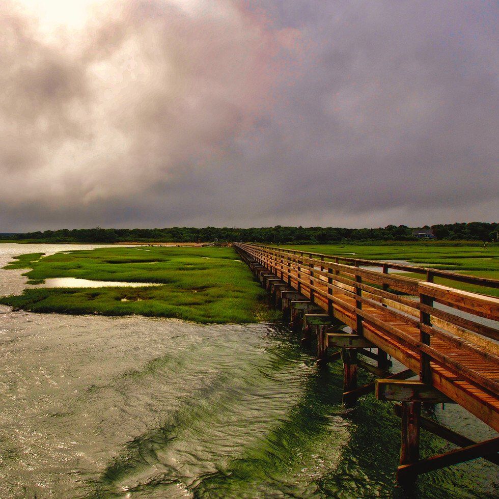 Green Water at Grey's Beach