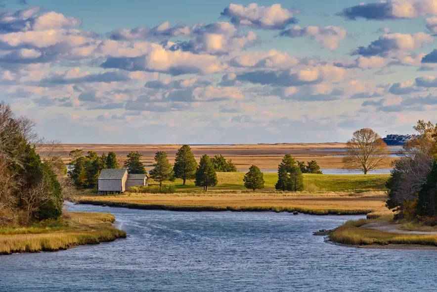 Reed Gidez_Salt Pond Winter_Thankfulness.jpg