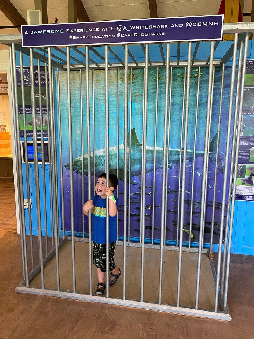 Joan Baker_Help_The Beatles.jpeg