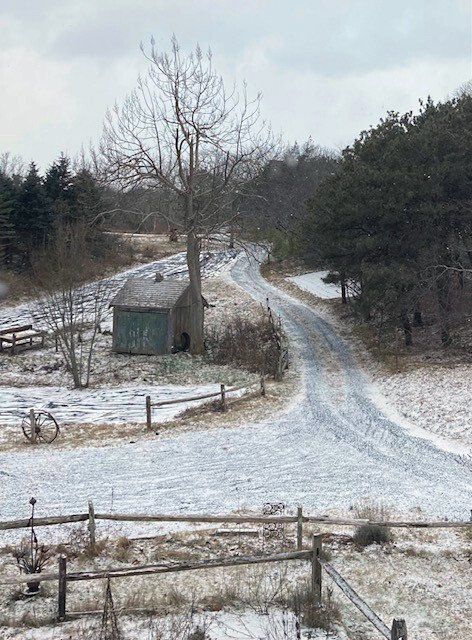 Mary Flynn_First Light, First Snow.jpg