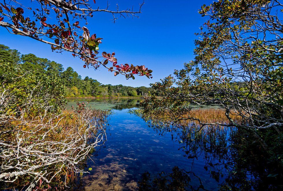 Richard Haight_Anticipation.jpg