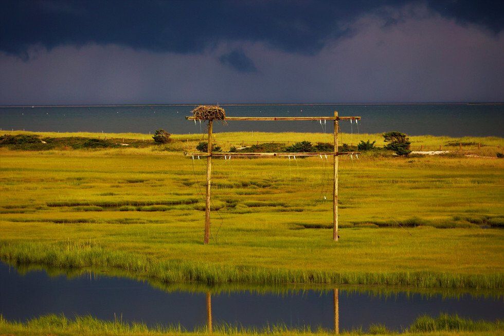 Batten Down the Thatches