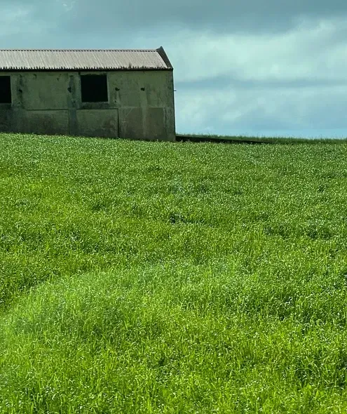 Nadine Krasnow_Azores_Painterly.jpeg