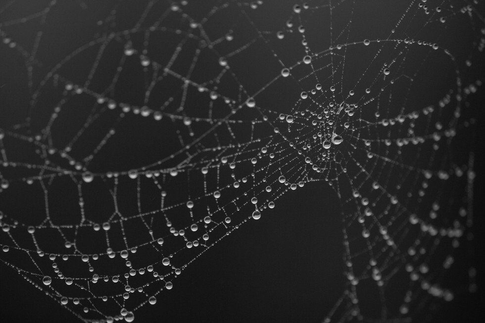 Foggy Morning (65 of 83).jpg