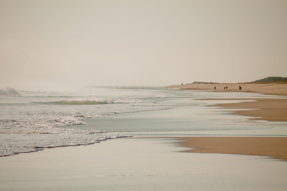 Nauset Beach October 2020 (46 of 55).jpg