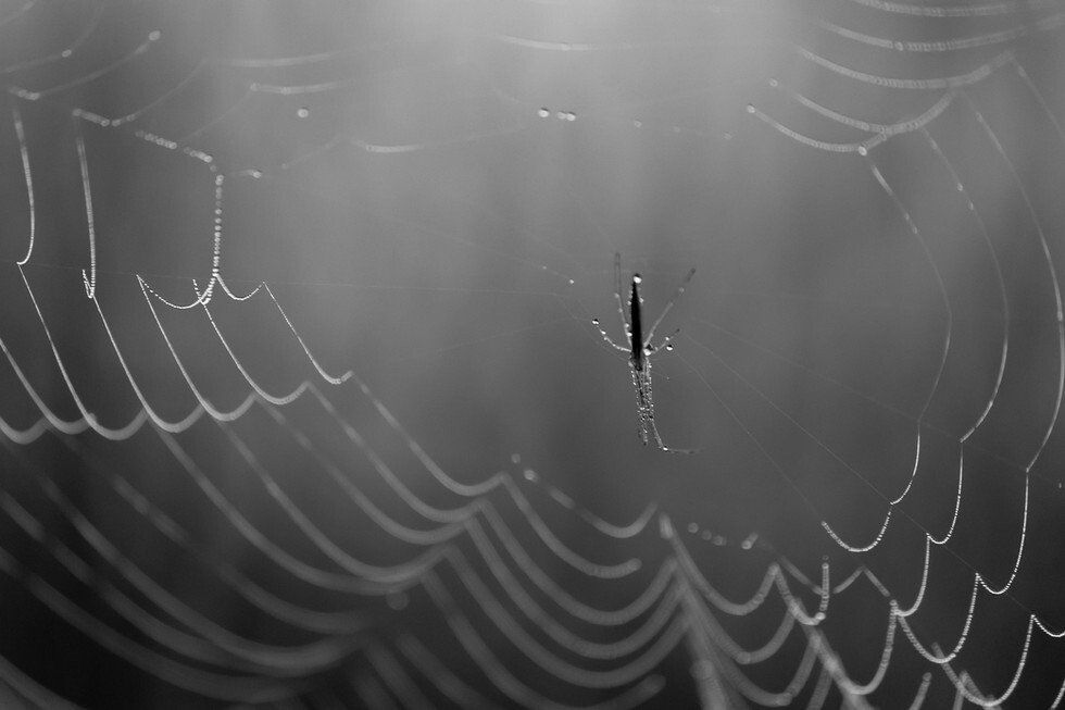 Water Drops 10-7-2021-44.jpg