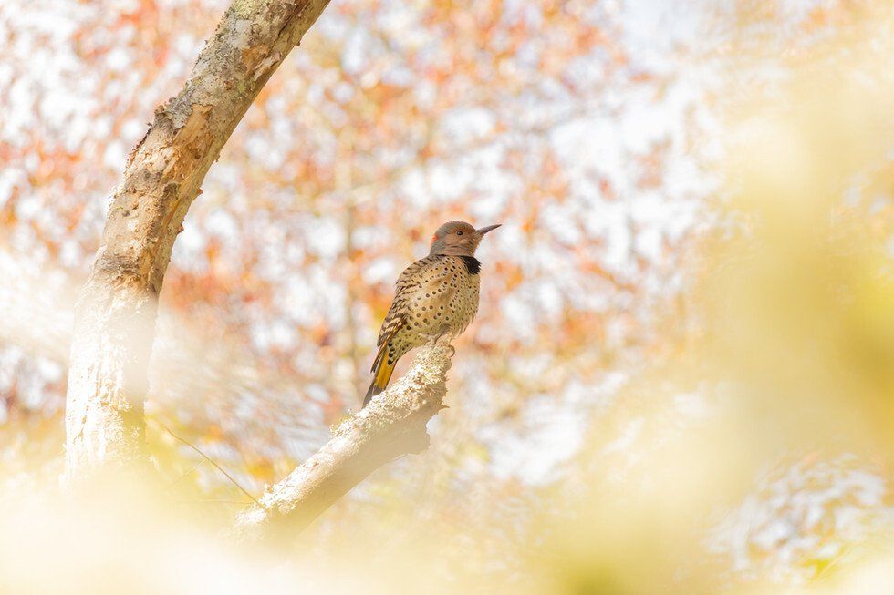 Cold Brook 10-14-2021-05.jpg