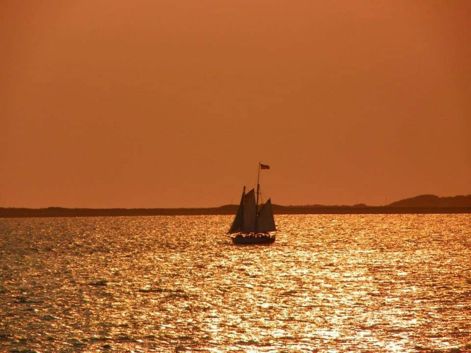 Renee Berry_Sailing into the Fire.jpg