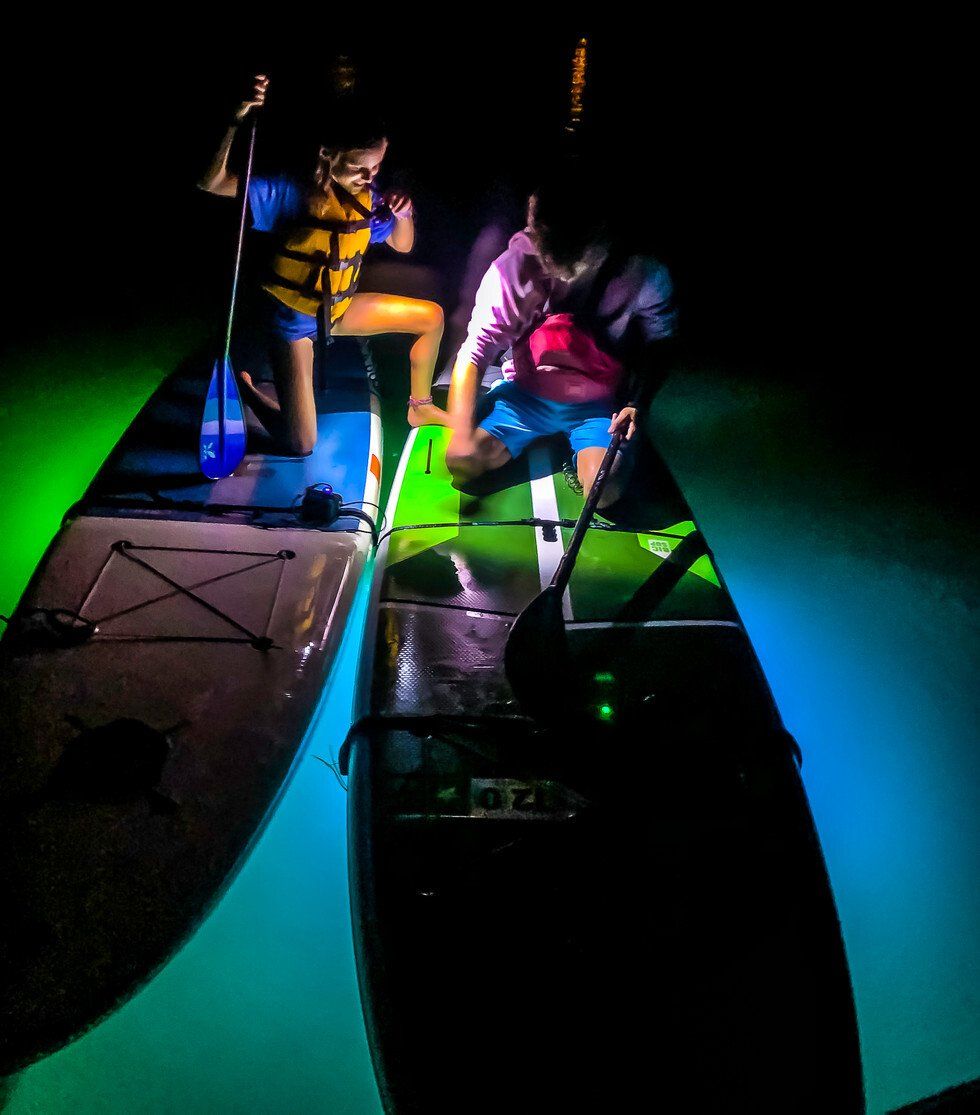 Wendy Foley_Night Life.jpg