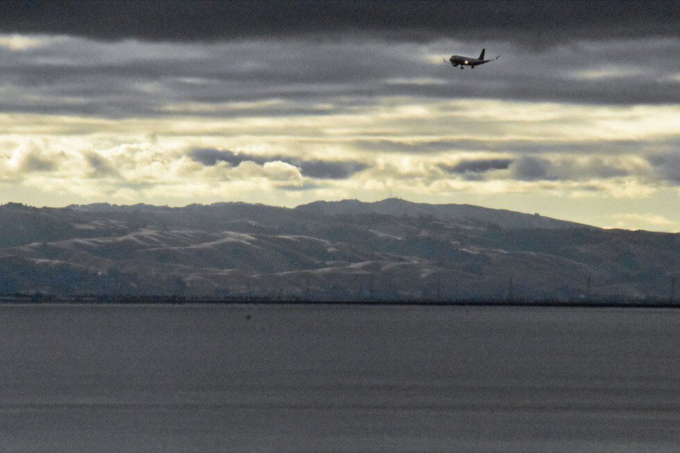 Michael Fisher_Coming Home to San Francisco.jpg