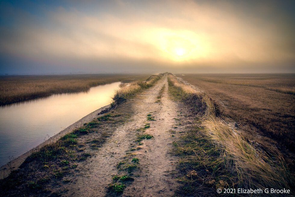 Fireroad to Hatches Harbor