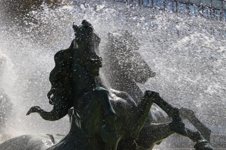 Marty Silverman_Horses of Luxemburg_Energy.jpg