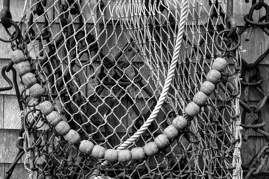 Andrew Young Hard to Fill.jpg