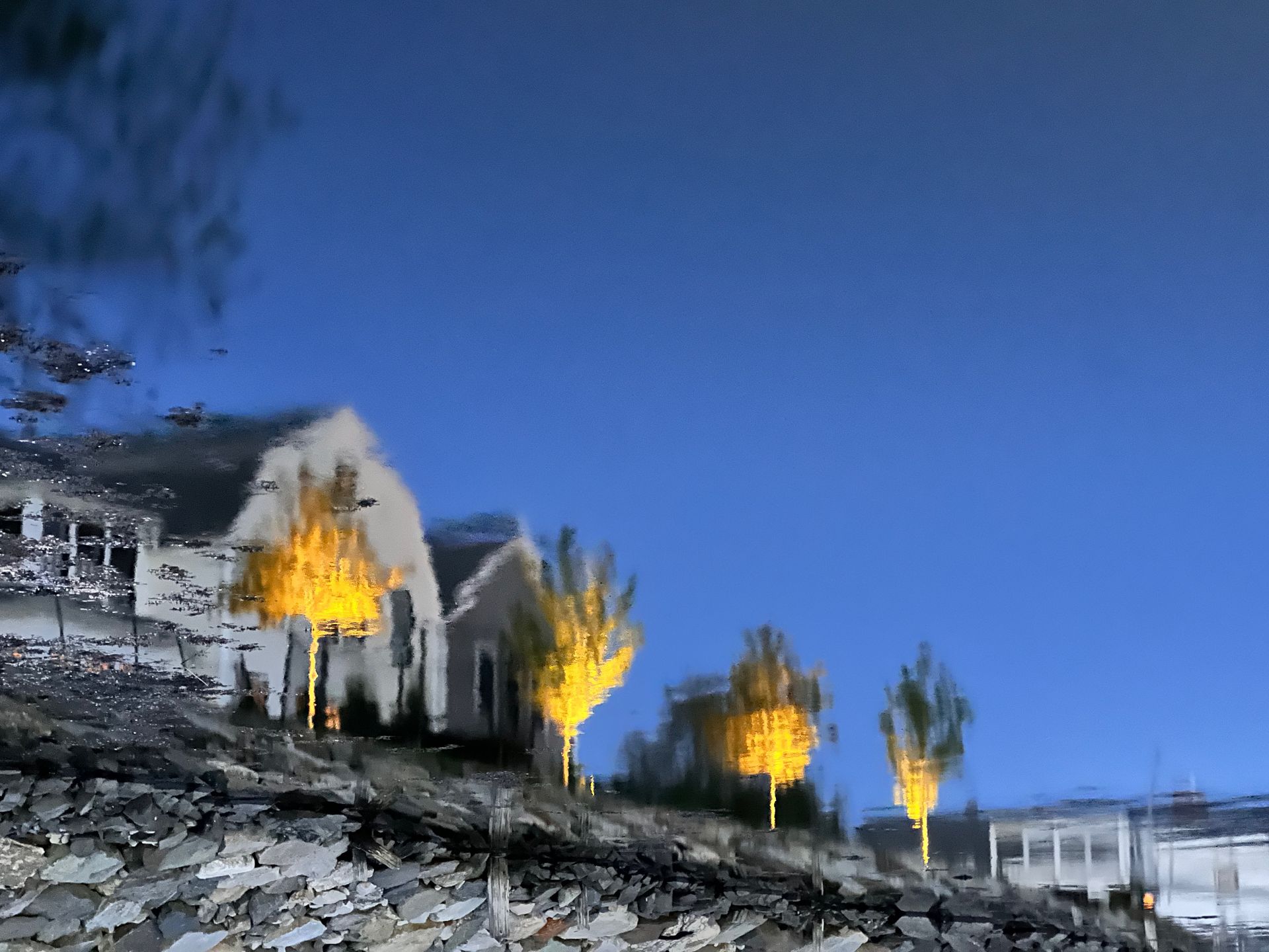 A house on a hill with trees in front of it