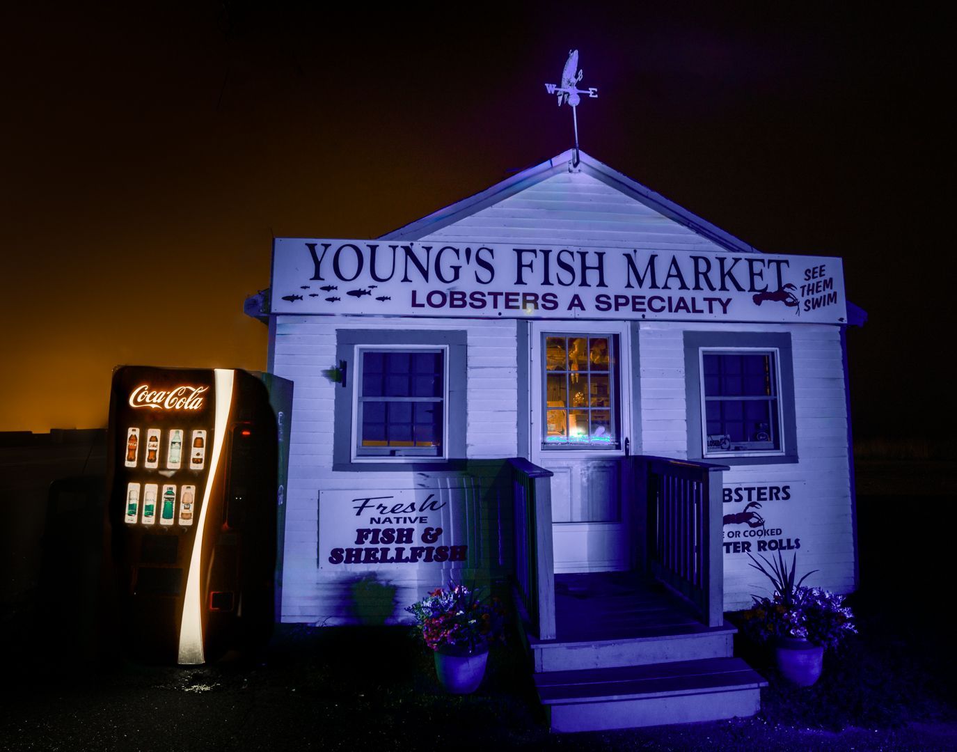 Young 's fish market is lit up at night with a coca cola vending machine in front of it.