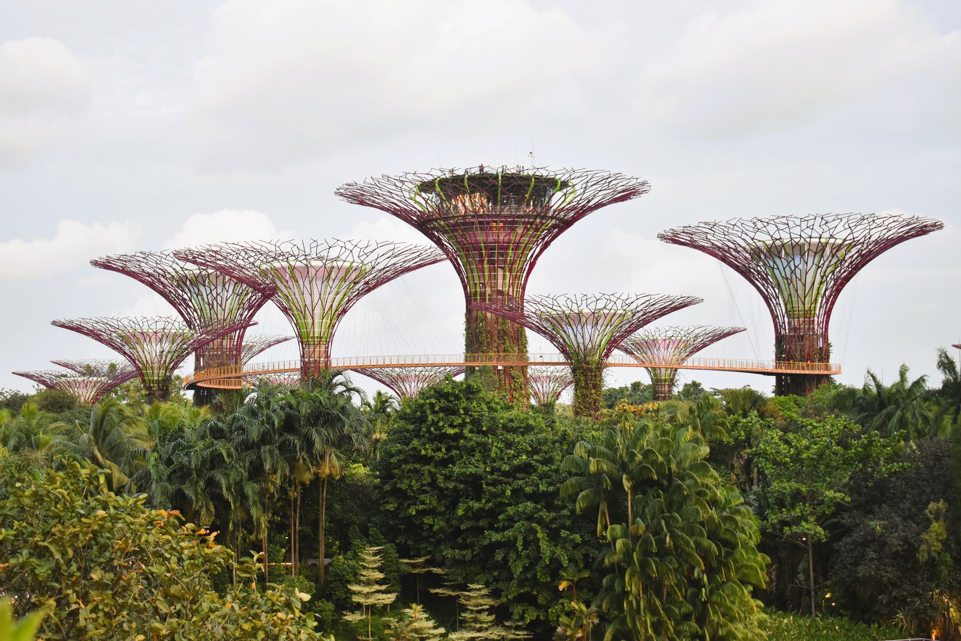 A row of trees in a park with a bridge between them