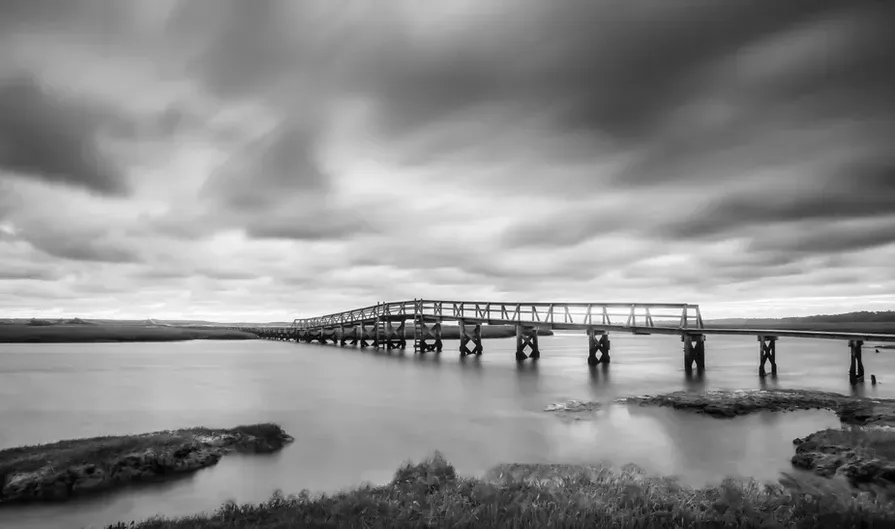Betsy Carothers The Boardwalk.jpg