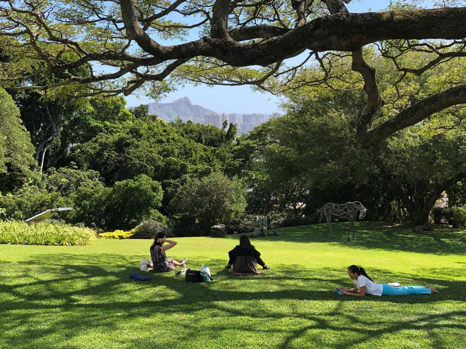 A group of people are sitting under a tree in a park.
