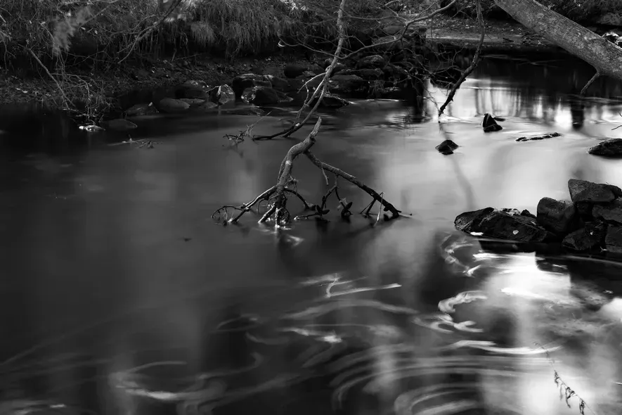 David Burleson River Fairy Dance.jpg