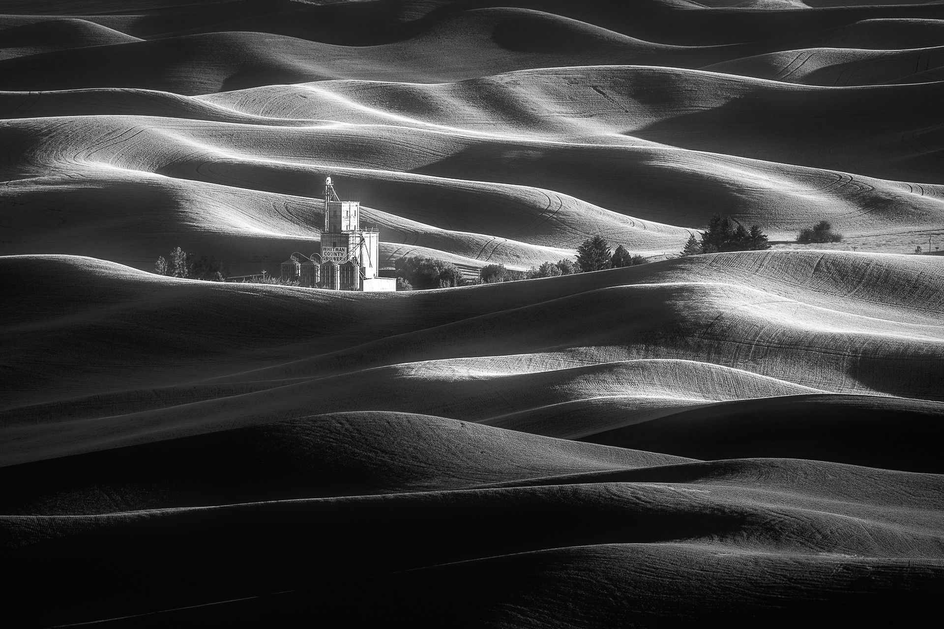 A black and white photo of a house in the middle of a field