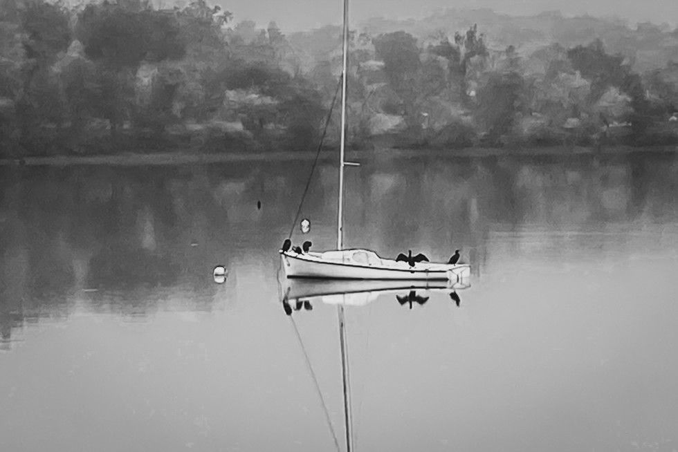 Alan Drabkin Twilight Mist.jpg