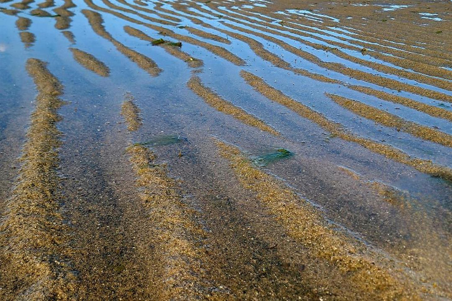 a close up of a sandy beach next to a body of water