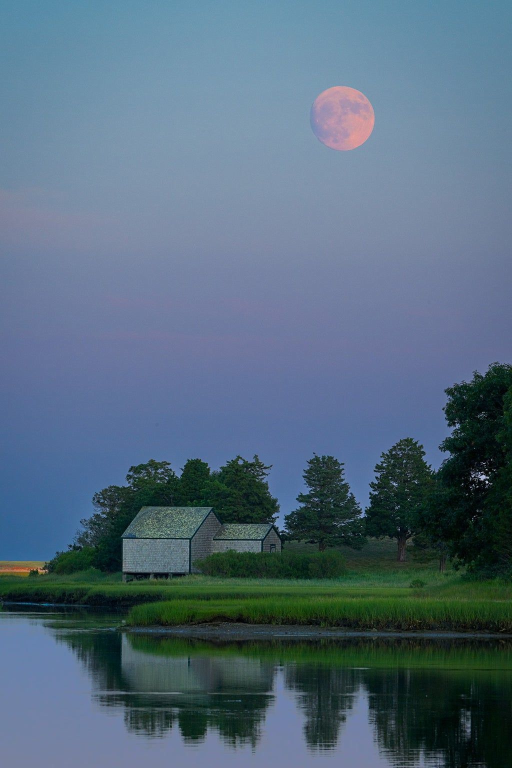 Buck Moon over Salt Pond - Judge's Award