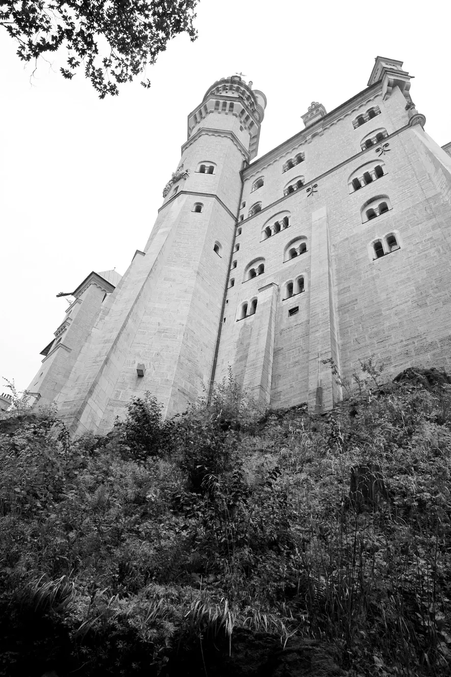 Karen Johnson Water and Weeds.jpg