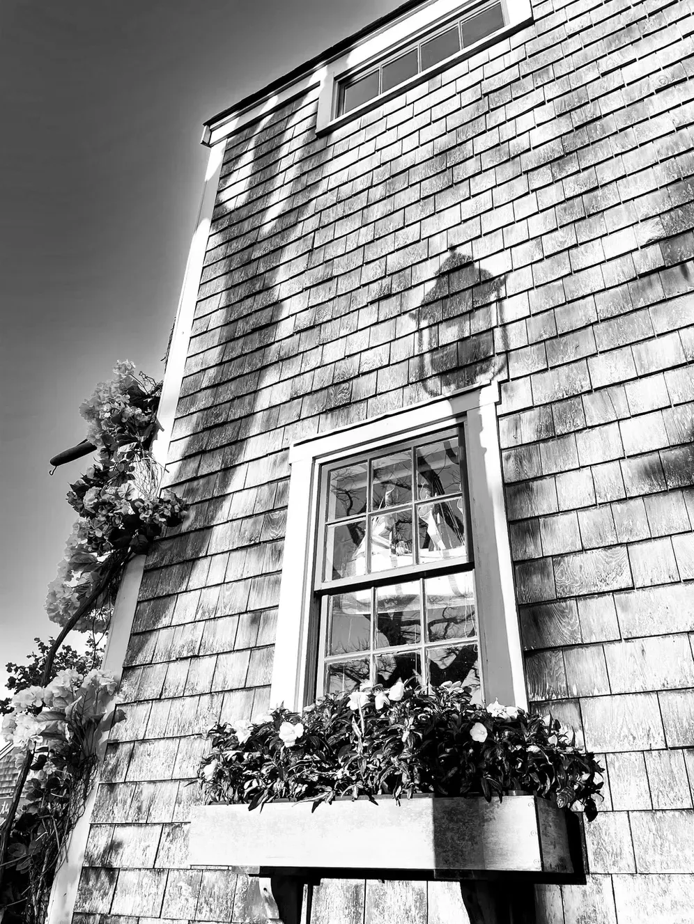 Ken Johnson Fog for the Win!.jpg