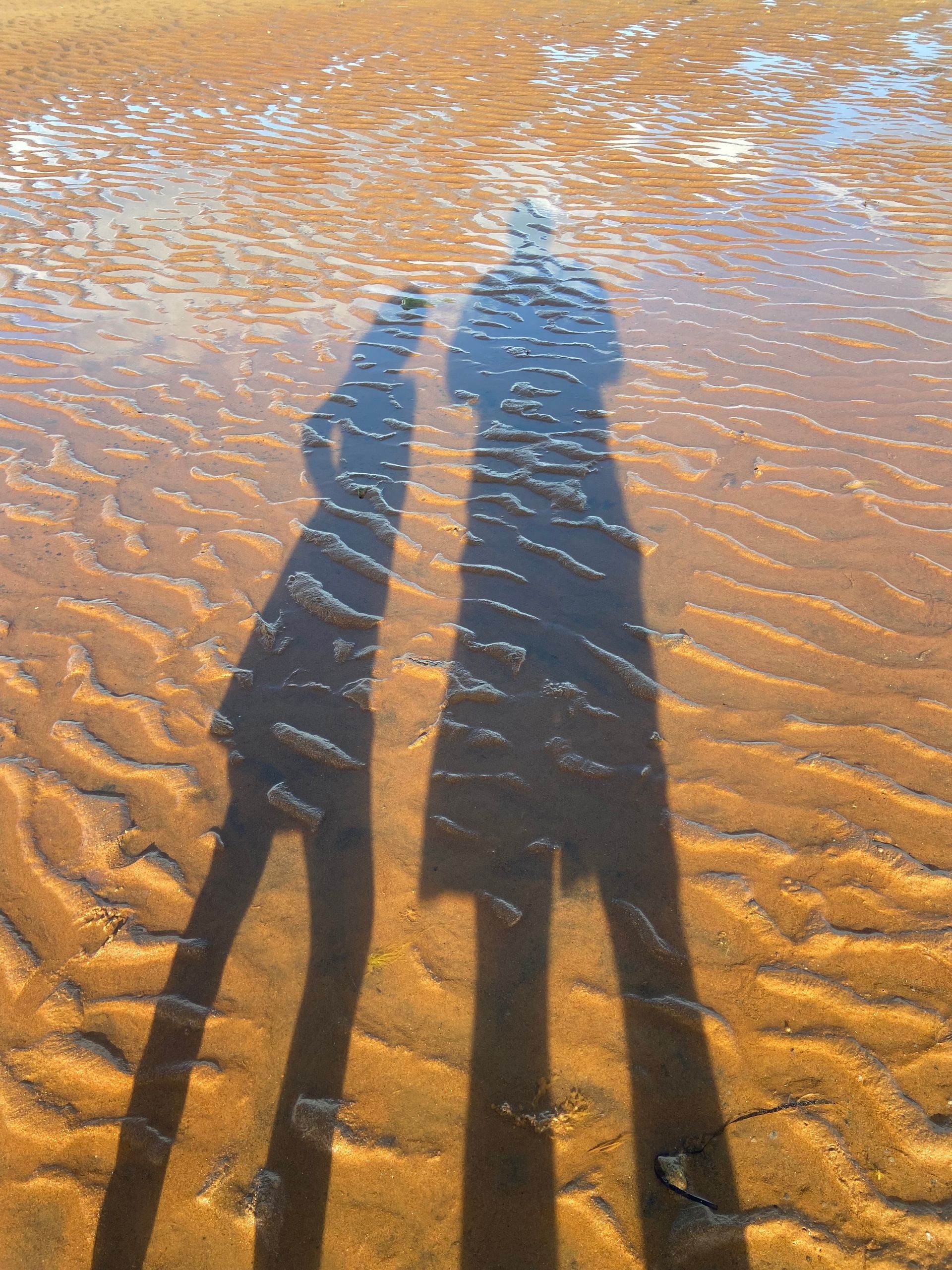 two people are standing next to each other on the beach and their shadows are reflected in the water .